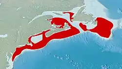Topological relief map of the Northeast United States and Atlantic Canada, showing the range of Limanda ferruginea along the continental shelf in red