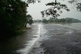 River canal with trees on the banks