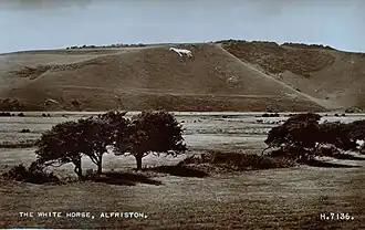 Second horse with only one front leg after being uncovered in 1945