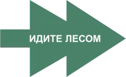 The logo of Get Lost, which is a simple tree on its side with the organisation's name in Russian in the centre