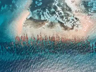 February 1992 satellite photo of Looe Key, revealing its spur and groove formations