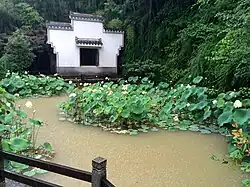 A lotus pond at Qiandao Lake