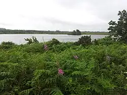 Lough Nahinch near Menlough