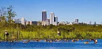 Burnaby Lake and Lougheed Town Centre