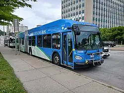 A blue articulated bus