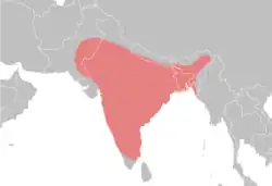 "Map of South Asia with shading over most of mainland India and parts of Pakistan, Nepal, Bhutan, and Bangladesh indicating the species' natural range"