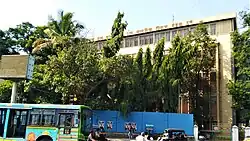 office building with green trees on its boundary and vehicles on the road in front of it