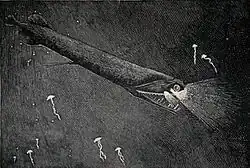 The stoplight loosejaw is also one of the few fishes that produce red bioluminescence. As most of their prey cannot perceive red light, this allows it to hunt with an essentially invisible beam of light.[44]