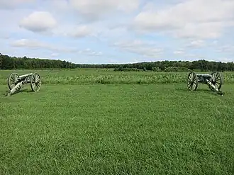 Photo shows two cannons pointing toward a distant horizon.