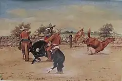 Fore-footing a horse.