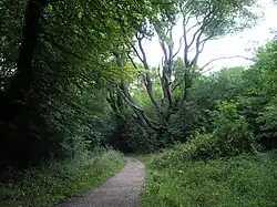 Woldingham and Oxted Downs