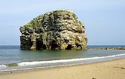 Picture of Marsden Rock in 2006