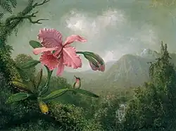 Orchid and Hummingbird near a Mountain Waterfall, 1902, Thyssen-Bornemisza Museum