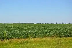 Fields along U.S. Route 52, southwest of Martinton