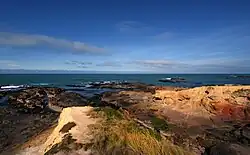 Shag Point headland