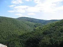 Mecsek, Southern Hungary