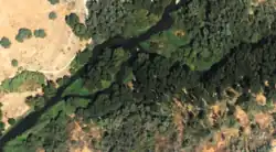 Mouth into the Jarama River