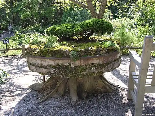 Garden Millstone at Jardins de Métis, Quebec.