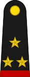 Colonel