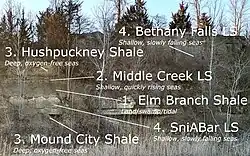 Outcrop showing Elm Branch Shale (lowest, undercut), Middle Creek Limestone, Hushpuckney Shale (slumping hillside), and Bethany Falls Limestone (highest cliff). This represents 1.5 complete cyclothems. Note soft, eroded shale undercutting SniABar Limestone and slumped slope representing Hushpuckney Shale, with little or no shale visible on the surface - both typical of shale members of the Kansas City Group in many outcrops and road cuts. Knobtown, Missouri.