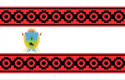 Miguel Carrillo Bascary's proposal