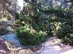 One of the Trails in the Garden