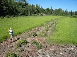 The Minong Mining Company Tramway remnants as they appeared in 2009