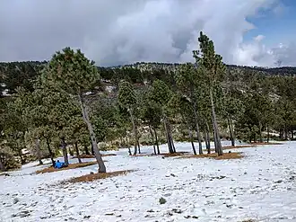 View of Punta del Cielo