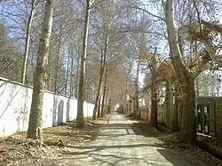 Mihan Street in Mohammadshahr