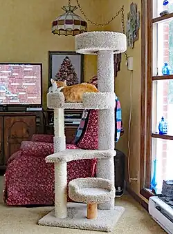 A more traditional cat tree made of carpet and sisal rope