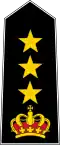Colonel