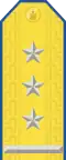 Parade uniform shoulder board (Colonel)