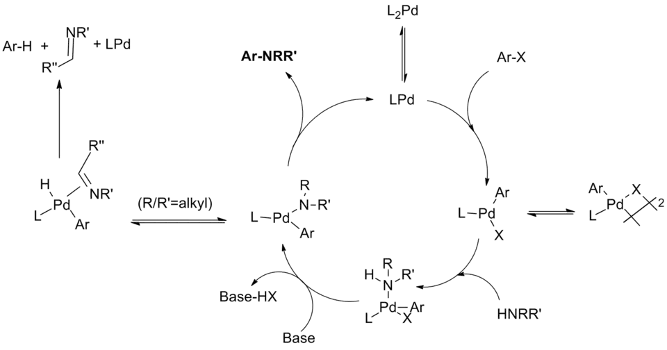 Catalytic cycle for monodentate phosphine ligand systems