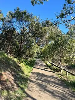 A concrete footpath by the side of a creek. There is a blue sky and the path is surrounded by trees and grasses. The afternoon sun casts shadows from the tree onto the path.