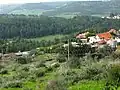 Moshav Aviezer as seen from ruin, Um Ra'us (southern site)
