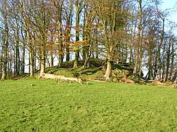 Polnoon Castle motte