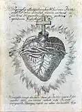 18th-century depiction of the Sacred Heart from the vision of Marguerite Marie Alacoque (d. 1690). The heart is both "heart-shaped" and drawn anatomically correct, with both the aorta and the pulmonary artery visible, with the crucifix placed inside the aorta.