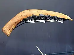 A sickle for harvesting crops and thatching materials