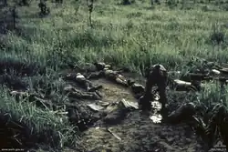 A soldier searches dead bodies which lie strewn amidst the grass.