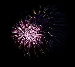 bright purple and pink fireworks during the night.