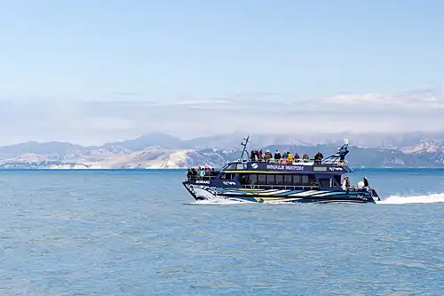 Whale watching vessel