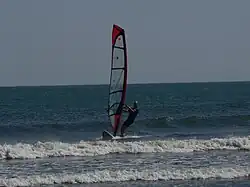 windsurfer