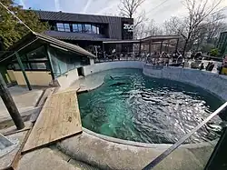 Sea lion pool