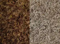 Natural texture example.