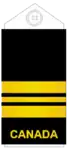 Uniform shirts (old insignia)