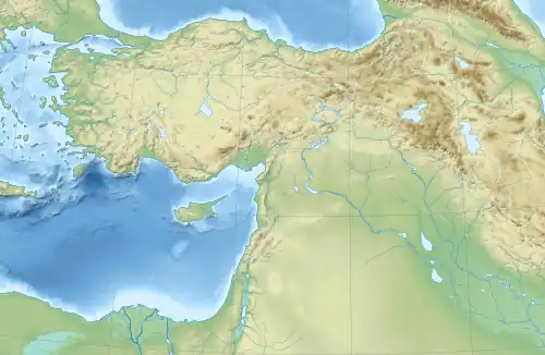 Blank topographic map of Western Asia.
