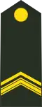 Sergeant der eerste klasse (Royal Netherlands Army)[8]