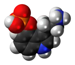 Space-filling model of the norbaeocystin molecule as a zwitterion