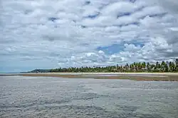 View of beach in Japaratinga