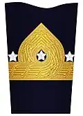 Sleeve insignia for a general in the Coastal Artillery (1901–1972)